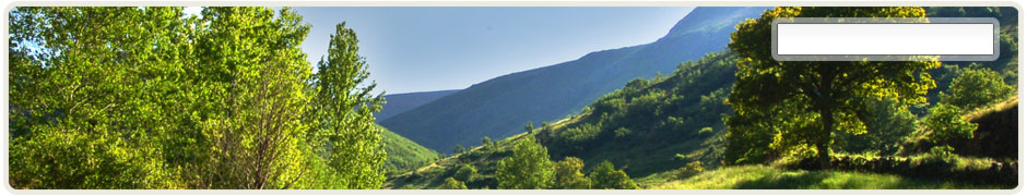 Fondo cabecera Cooperaci�n cos concellos